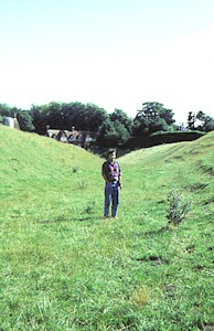 {short description of image}