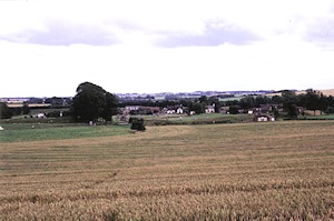 {short description of image}