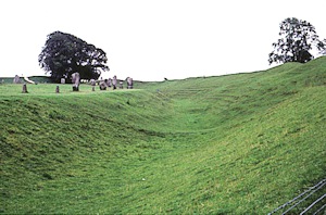 {short description of image}