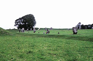 {short description of image}