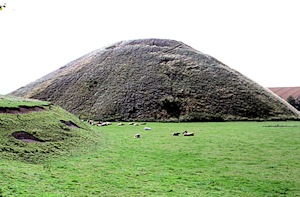 {short description of image}