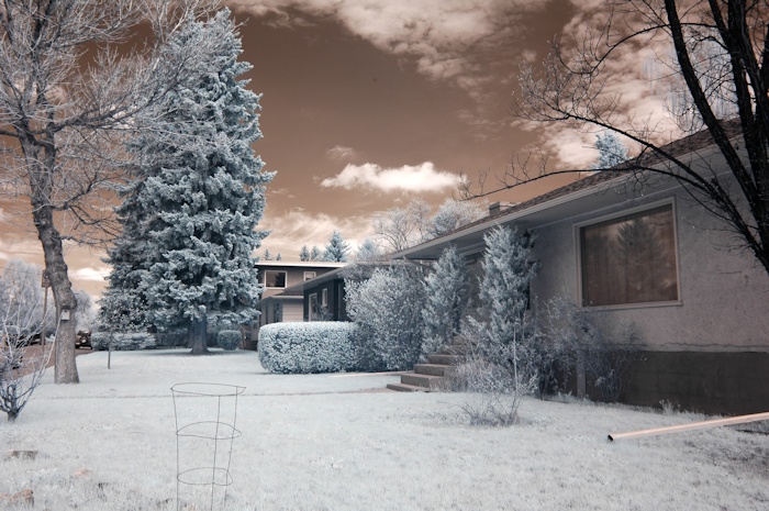 Nikon D70 infrared conversion