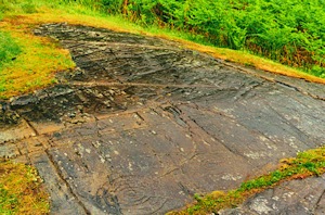 {short description of image}