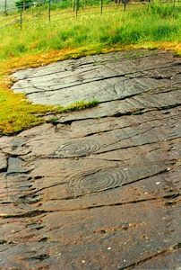 {short description of image}