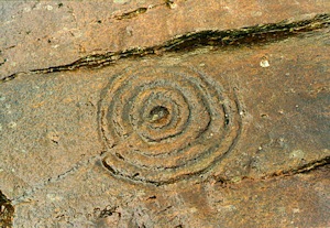 {short description of image}