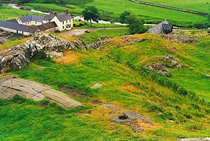 {short description of image}