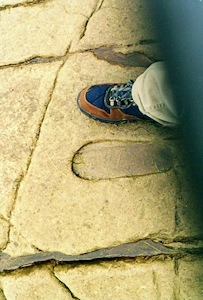 {short description of image}