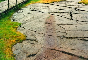 {short description of image}