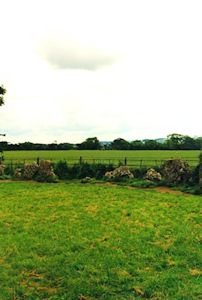 {short description of image}