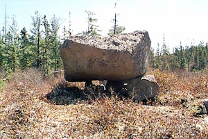 {short description of image}